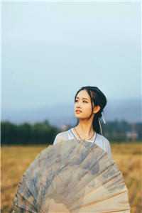 落花已随西风去完结版小说陈淮宋映雪