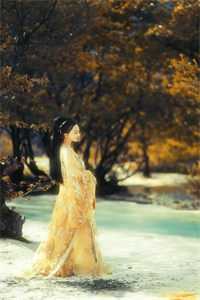 准状元高考自曝作弊后，全校都疯了小说全文免费阅读