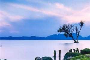 只因深情终错付纪清让纪宴北后续+全文