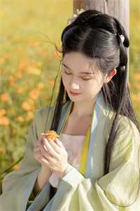 她在陌上曾回眸小说全文免费阅读