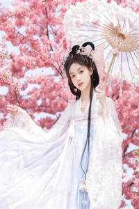 经年离歌愁未休完结版小说全章节目录阅读