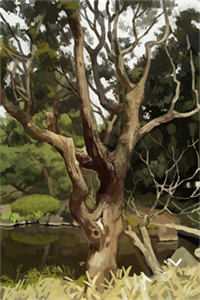 她的温柔，已成荒原陆修廷苏千落全文小说