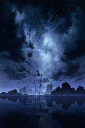 拍卖会上，老婆天价为男助理点天灯杨沈仪沈仪全文小说