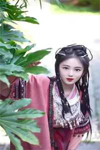 小小赘婿候选人，想抢我女儿家产小说陈心柔陆寻完结版