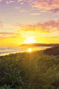 望断阳关雪完结版沈棠顾长明