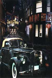 不属于海的风全文小说唐栖雾靳沉野最新章节