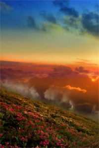 姐弟恋修成正果后鹿笙顾遥大结局