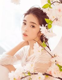 我们终究两不相欠苏念瓷裴沉野完结版小说