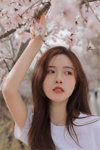 权力巅峰之太太局陈阳张璐璐小说完结版