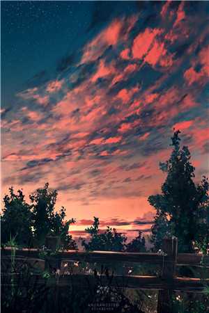 学乖罗枭罗苑全章节小说