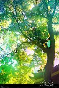 温掬月周既明的小说所爱已隔人山人海免费阅读