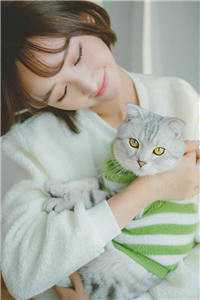 官途风云全文李福海宋观潮