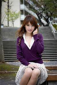 大明第一贪官完结版朱元璋叶青