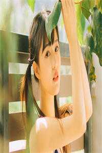 情如薄纱随风逝小说江宿月裴宴宁