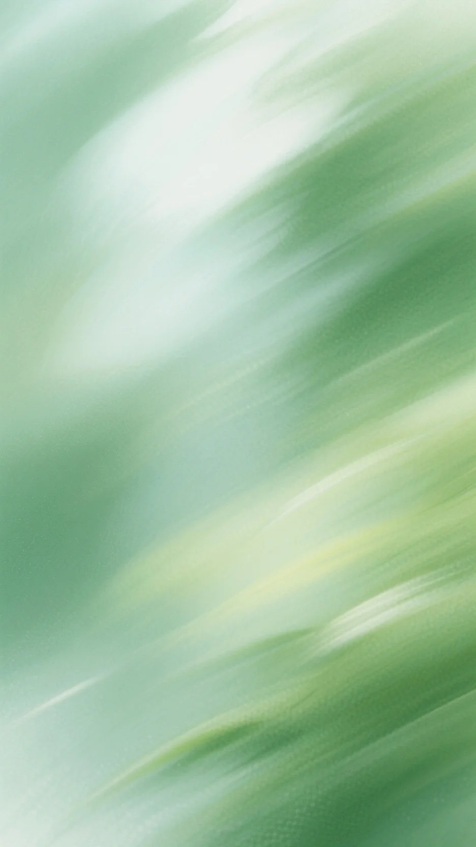 阿箬(莲心王钦)