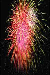 冬季停留在原地时虞裴清宴