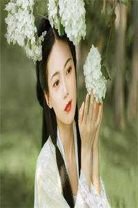 全本阅读抱歉了皇叔，丞相被我撬走了