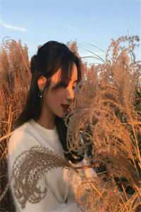 梁程美景完结了吗
