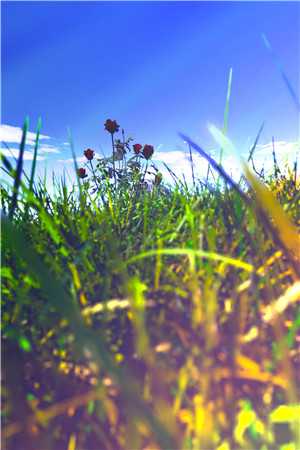 容妃又花痴了精修版