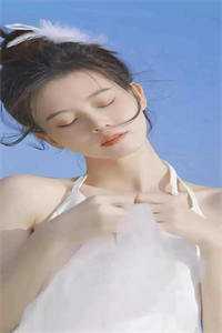 谍战逆袭：我的代号铁丝网完整篇章