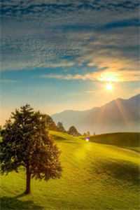 全文章节谍战逆袭：我的代号铁丝网