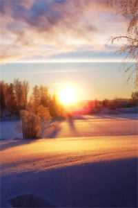 全文章节神豪系统启动,我成了女神收割机