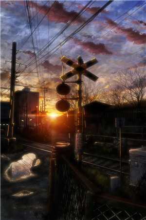 我在黑暗期待光