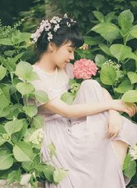 全集小说推荐门徒