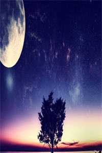 云鬓花颜金步摇