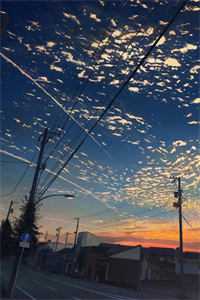 精品小说富二代在八零虐渣搞钱养崽撩美男