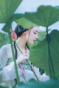 甜宠:旅游撩的老板追来了!全本小说推荐