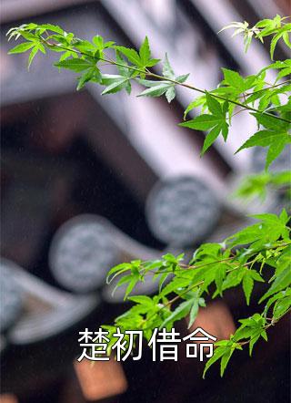 全文浏览门徒
