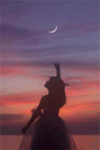 畅读精品陛下不好了!冷宫娘娘又作妖了