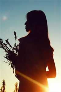 暗恋成真：掌权新贵他官宣了精选篇章阅读