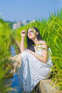 精选篇章穿书：清冷权臣他以权谋妻