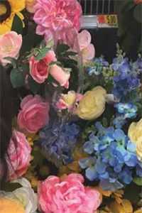 精选全文改命,从神秘老者赠猛男秘诀开始