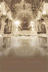 医绽芳心追妻套路深讲的什么