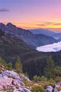 长篇小说救命！和女神领证后我成神豪了