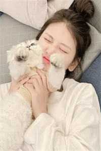 穿书:今日首辅大人七分甜热门小说