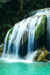 凤凰：开局变土鸡，被拔鸡毛