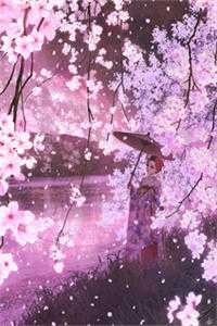 我，离婚如丧偶，惊艳众人过新人生全文完结