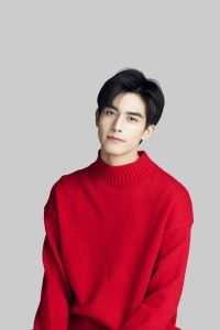 畅销小说推荐智者不入爱河