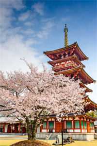 野玫瑰攻性十足，恶狼老公顶不住文章精选