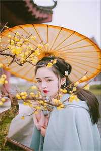 畅读佳作推荐恶俗婚恋