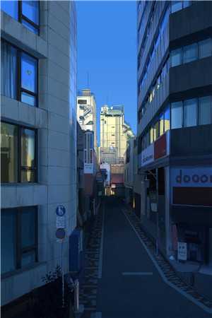 追妻火葬场！狗男人被虐惨啦畅读佳作