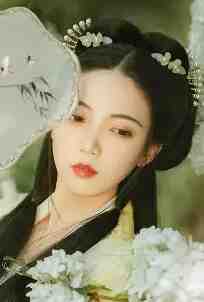 女总裁保镖，怎么是我的技师精选小说推荐