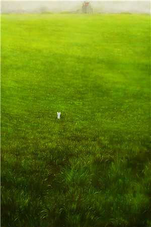 浪子回头后,我拿下了高岭之花全集小说