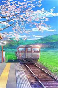 玫瑰娇养守则高质量小说