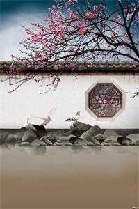 穿越四合院：我靠空间苟活畅读全文