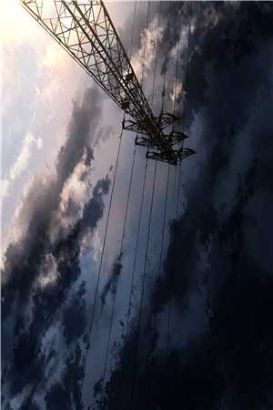 精品阅读生命还剩半年，请让我从容赴死